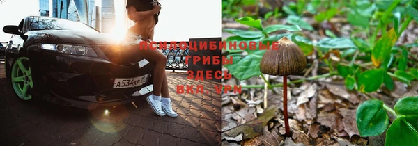 мескалин Липки