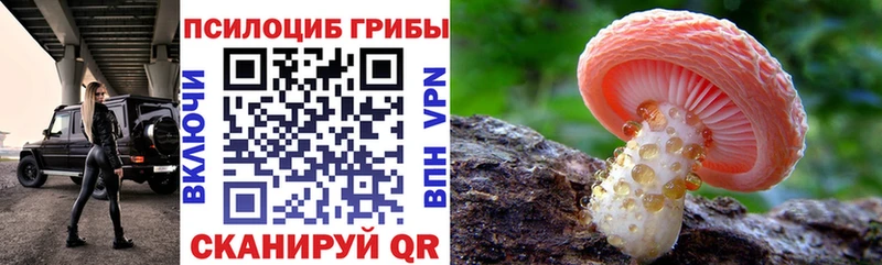 сайты даркнета телеграм  закладки  Калтан  Галлюциногенные грибы MAGIC MUSHROOMS 